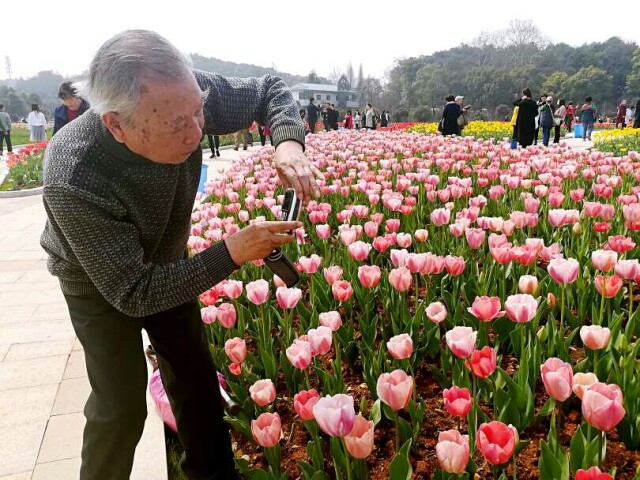 踏春赏花