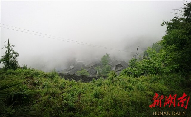 文明之花耀金龙——记全国文明村花垣县双龙镇金龙村