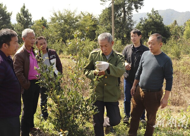 秦初开 唐建海 摄影报道[责编:马俊达]