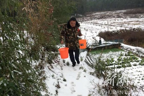 湖南日报·新湖南客户端12月31日讯(通讯员 雷志国 吕建"支书,慢点