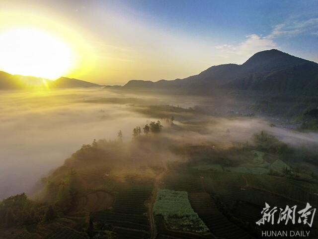 5月3日,龙山县茅坪乡水沙坪,在初升的太阳照耀下,田园风光无限.