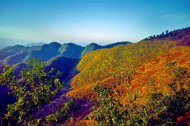 天堂山国家森林公园.小毛 摄