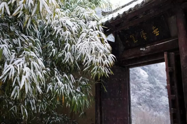 煮雪烹茶,听雪敲竹……古人的诗意冬天