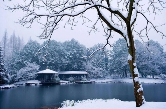 煮雪烹茶,听雪敲竹……古人的诗意冬天