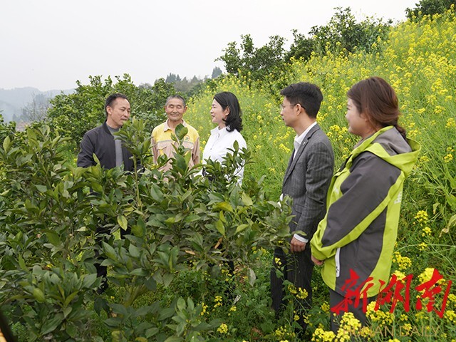 农业技术服务站入村大有可为——全国人大代表李小红深入山间地头宣讲全国两会精神