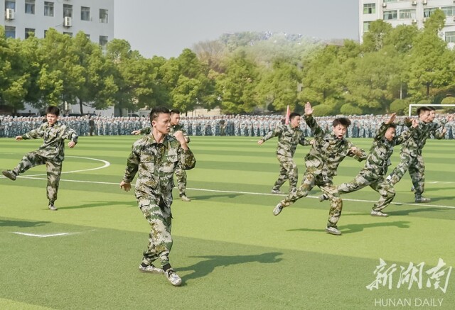 擒拿格斗展雄姿