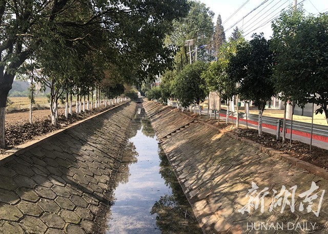 茅草街镇:美化人居环境 共建碧水蓝天