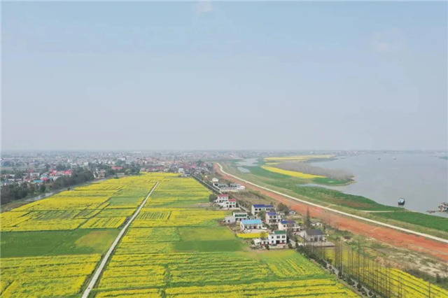 望城这9条精品乡村旅游线路推荐给你!让你玩个够