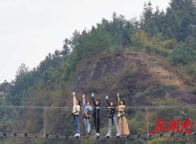 朝曦迎客艳重冈,松风留人入醉乡!"长寿秘境"游客探秘忙