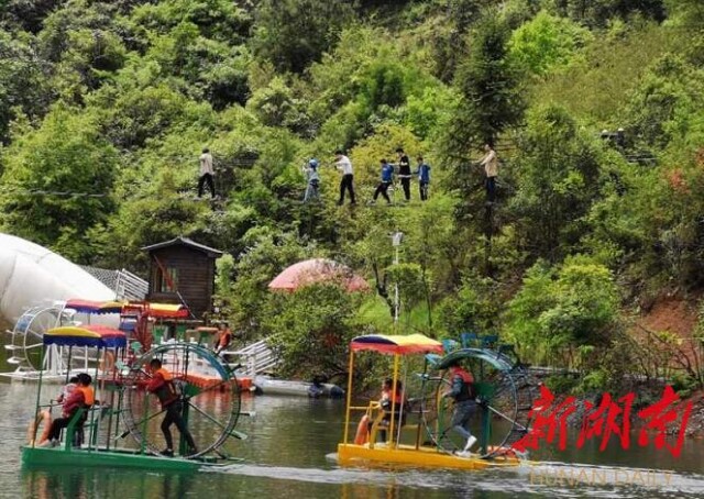 朝曦迎客艳重冈,松风留人入醉乡!"长寿秘境"游客探秘忙