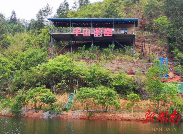 朝曦迎客艳重冈,松风留人入醉乡!"长寿秘境"游客探秘忙