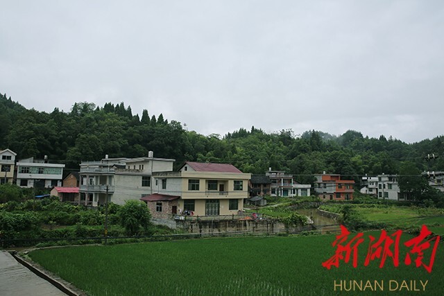 琅塘镇集体村