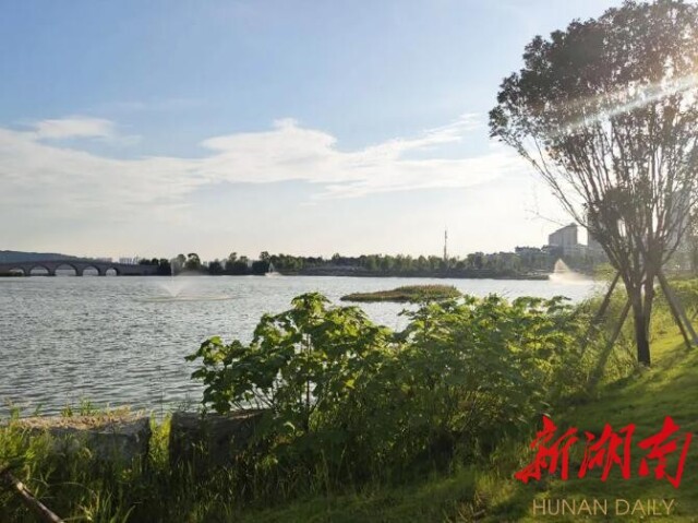 这是岳阳市蛇皮套湿地公园建成以来的场景,也是南湖新区开展生态治理