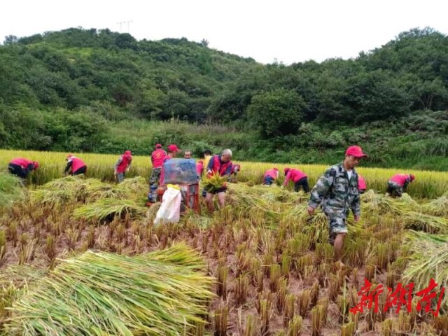 在舒家村乡丁家村,80多岁侯恩清老人好不容易盼来晴天,家中剩余1亩