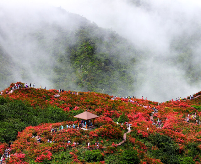 浏阳大围山国家森林公园