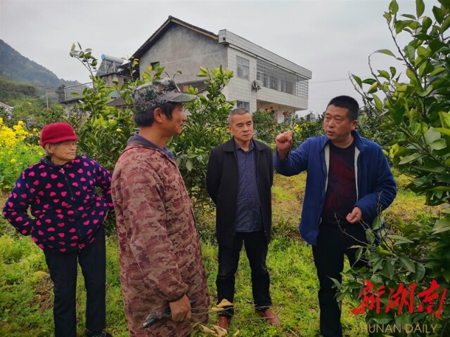 [覃佐新(右二)请来农科站站长熊先稳(右一)