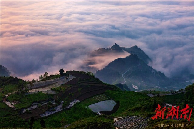 二等奖《云海衬晨韵—龙山县八面山下半坡村 李永生 摄