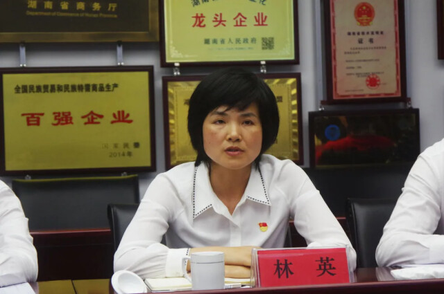 安化县委常委,宣传部长林英讲话