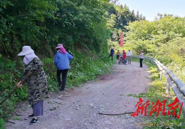 沅陵五强溪镇大洞溪村:养护公路清垃圾 为民办事树新风