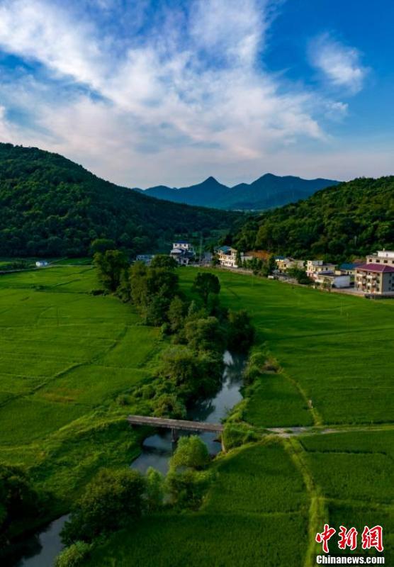 航拍夏日江西新余青山绿水美丽乡村入画来