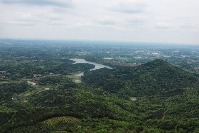 朱才荣摄于澧县天供山森林公园