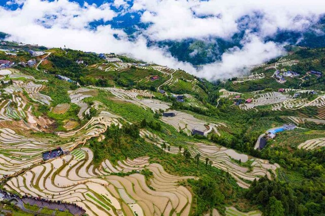 溆浦县葛竹坪镇山背花瑶梯田地处雪峰山崇山峻岭中,从海拔