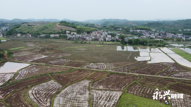 郴州永兴马田镇耕地抛荒治理让沉睡耕地焕发新生机