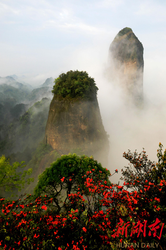 知道吗，高考生！你的准考证竟然这么值钱！（最新发布）