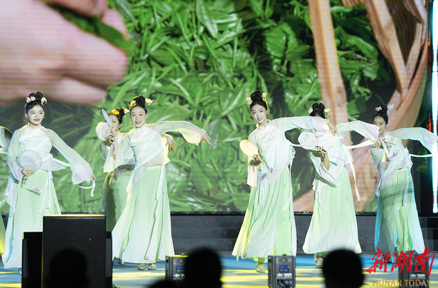 2025年湖南省乡村文化旅游节在桂东启幕
