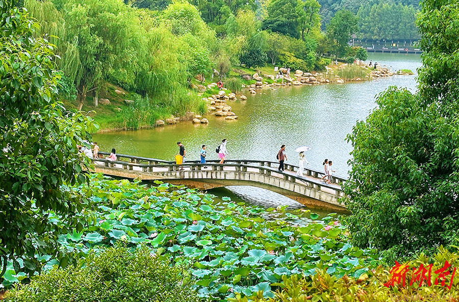 尖山湖畔赏秋韵