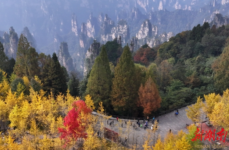 斑斓秋色引客来