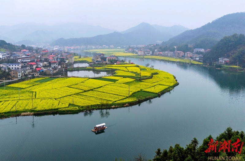 春到水乡 画里行舟