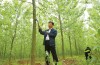 洞庭月历·4月|树：杨柳春风，一番新绿