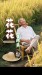 袁隆平逝世四周年 | 花花等风来