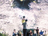 “花式”工业园 厂区成网红