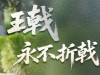 【专题】谁是王戟——他，把轮椅开成了“战车”