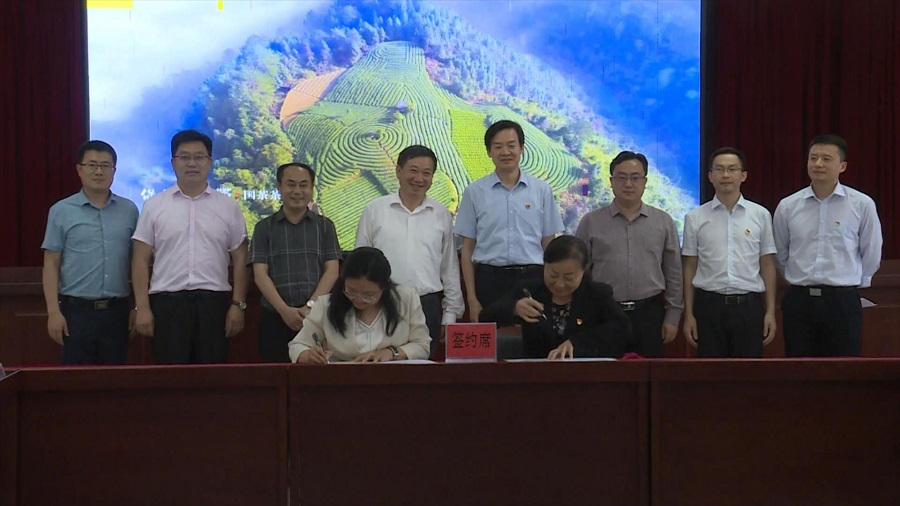 永保茶业强强联手共享“黄金”商标