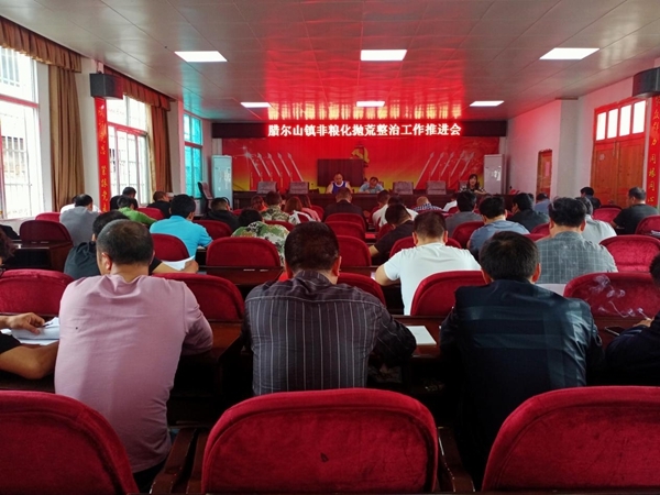 凤凰县腊尔山镇：打出“组合拳” 扎实推进耕地抛荒整治工作