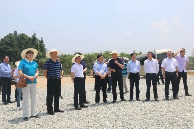 省发改委调研组到临湘调研论证工业园热电联产项目