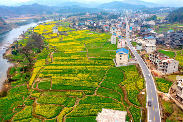 图片新闻∣多彩沃野春意浓