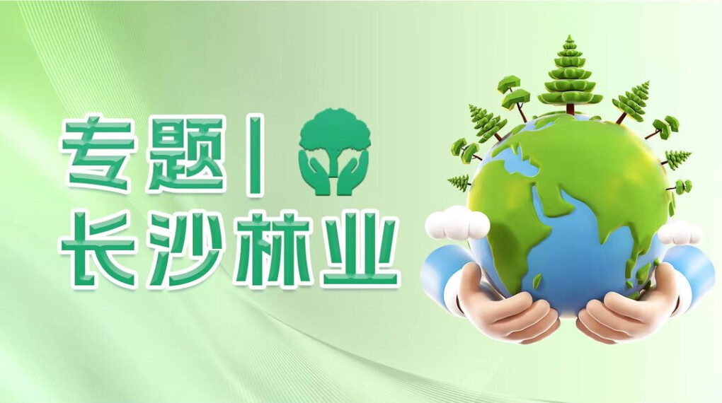 专题｜长沙林业