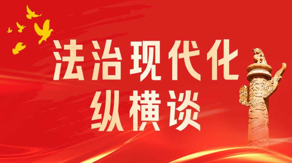 法治现代化纵横谈