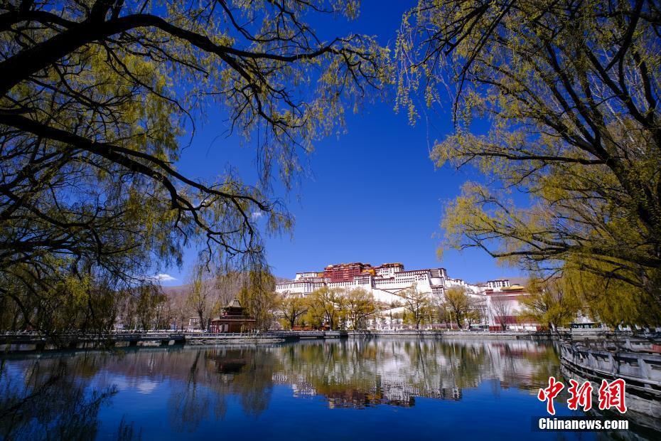 拉萨春日风光美