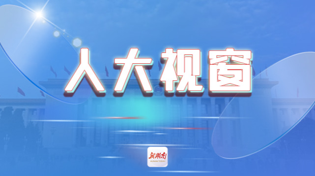 人大视窗