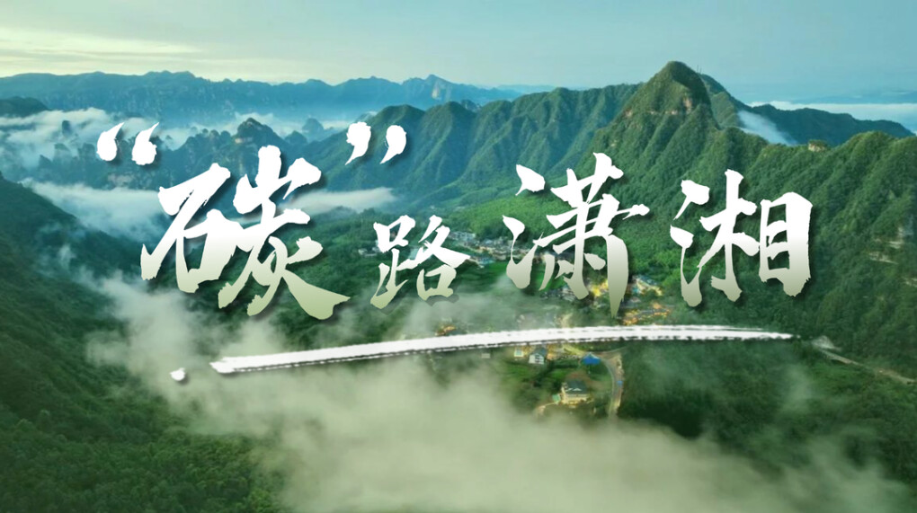 专题丨“碳”路潇湘