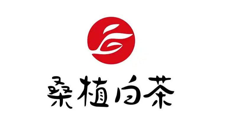 山水出奇茗 白璧出桑植——桑植白茶香溢万里谱新篇