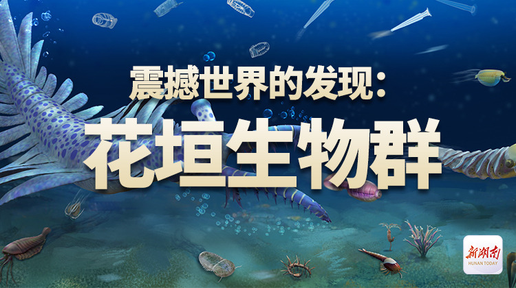 震撼世界的发现：花垣生物群