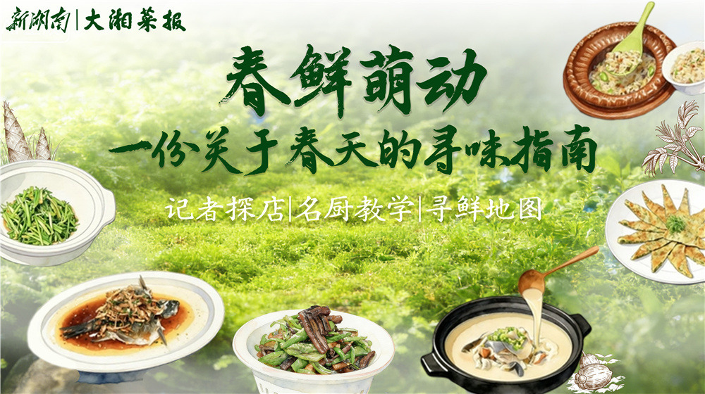 春鲜萌动：一份关于春天的寻味指南