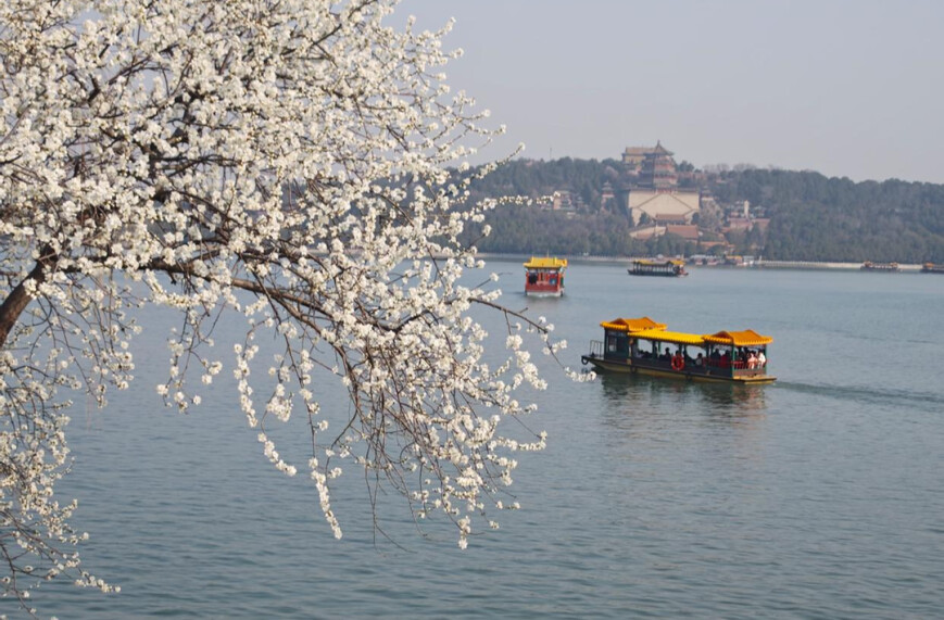 一步一景，皆是诗情画意！颐和园西堤山桃花开