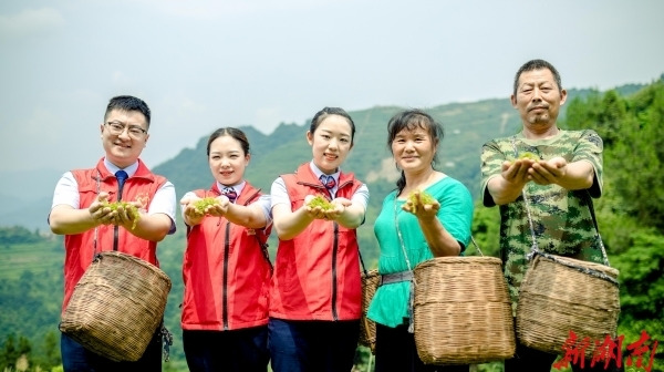 湖南农信系统：深耕普惠金融，助推民营经济向新提质